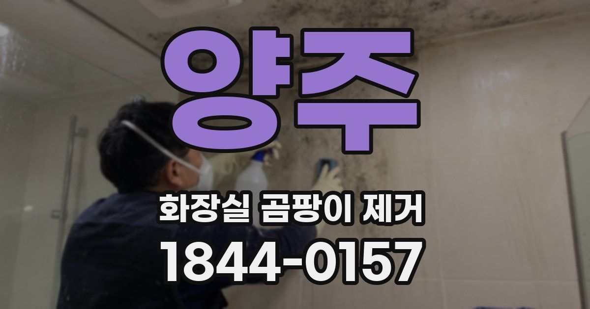 양주 화장실 곰팡이 제거