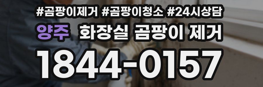 양주 화장실 곰팡이 제거