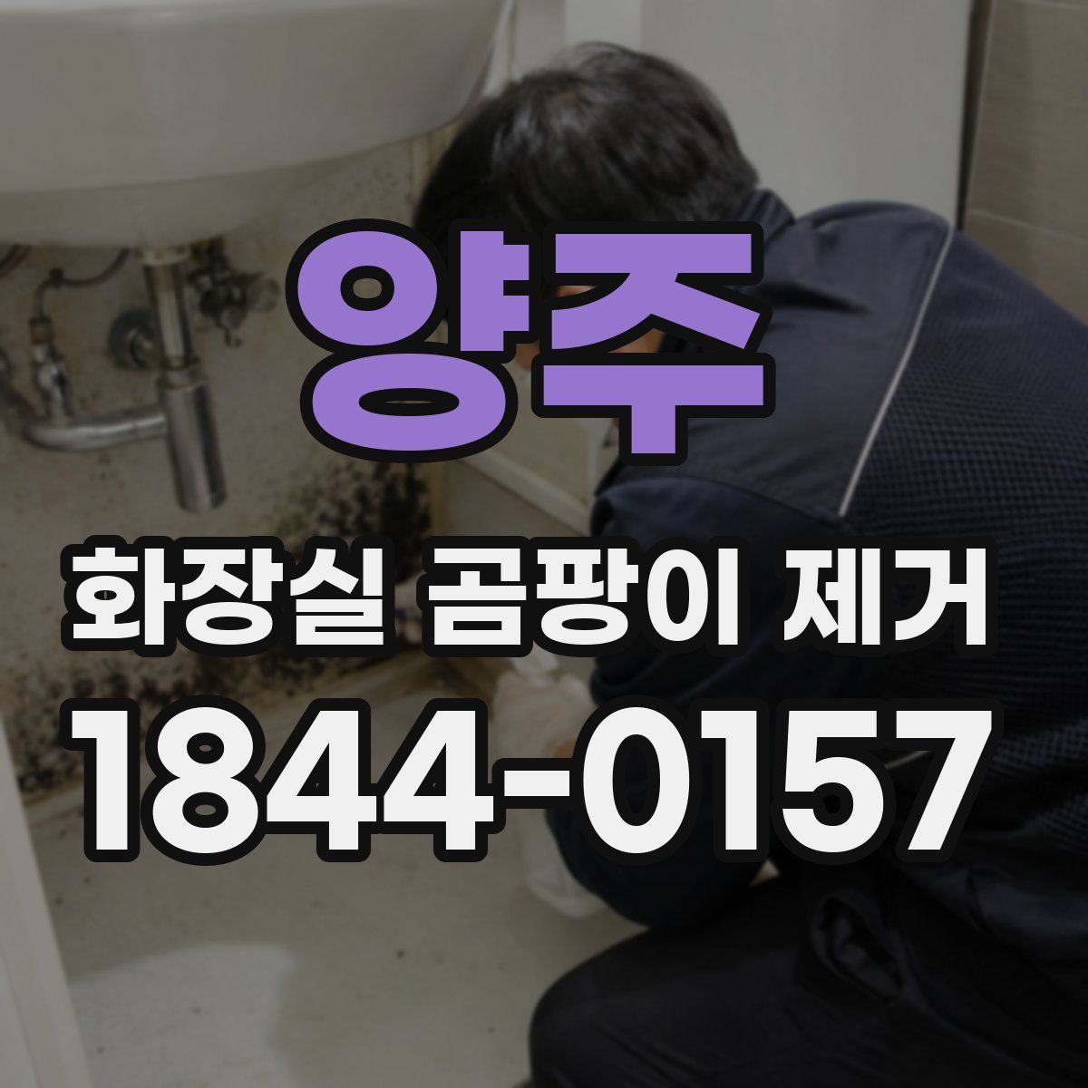 양주 화장실 곰팡이 제거