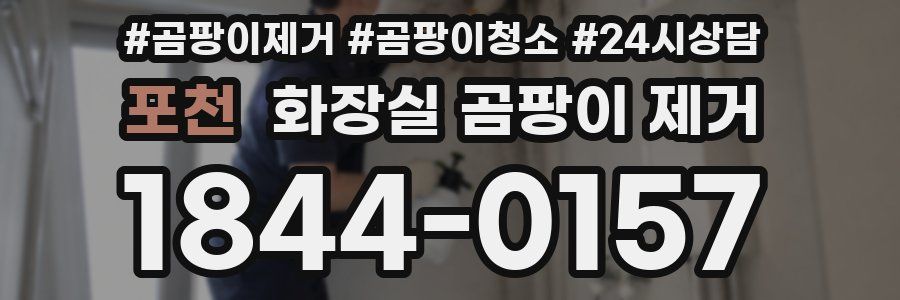 포천 화장실 곰팡이 제거