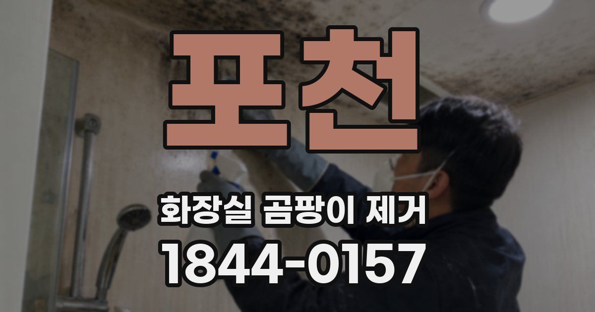 포천 화장실 곰팡이 제거