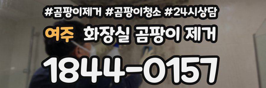 여주 화장실 곰팡이 제거