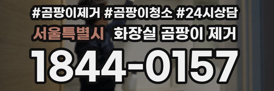 서울특별시 화장실 곰팡이 제거