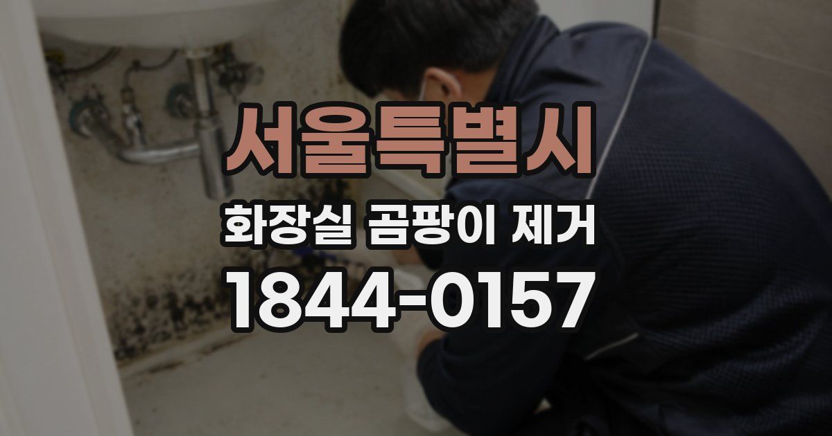 서울특별시 화장실 곰팡이 제거