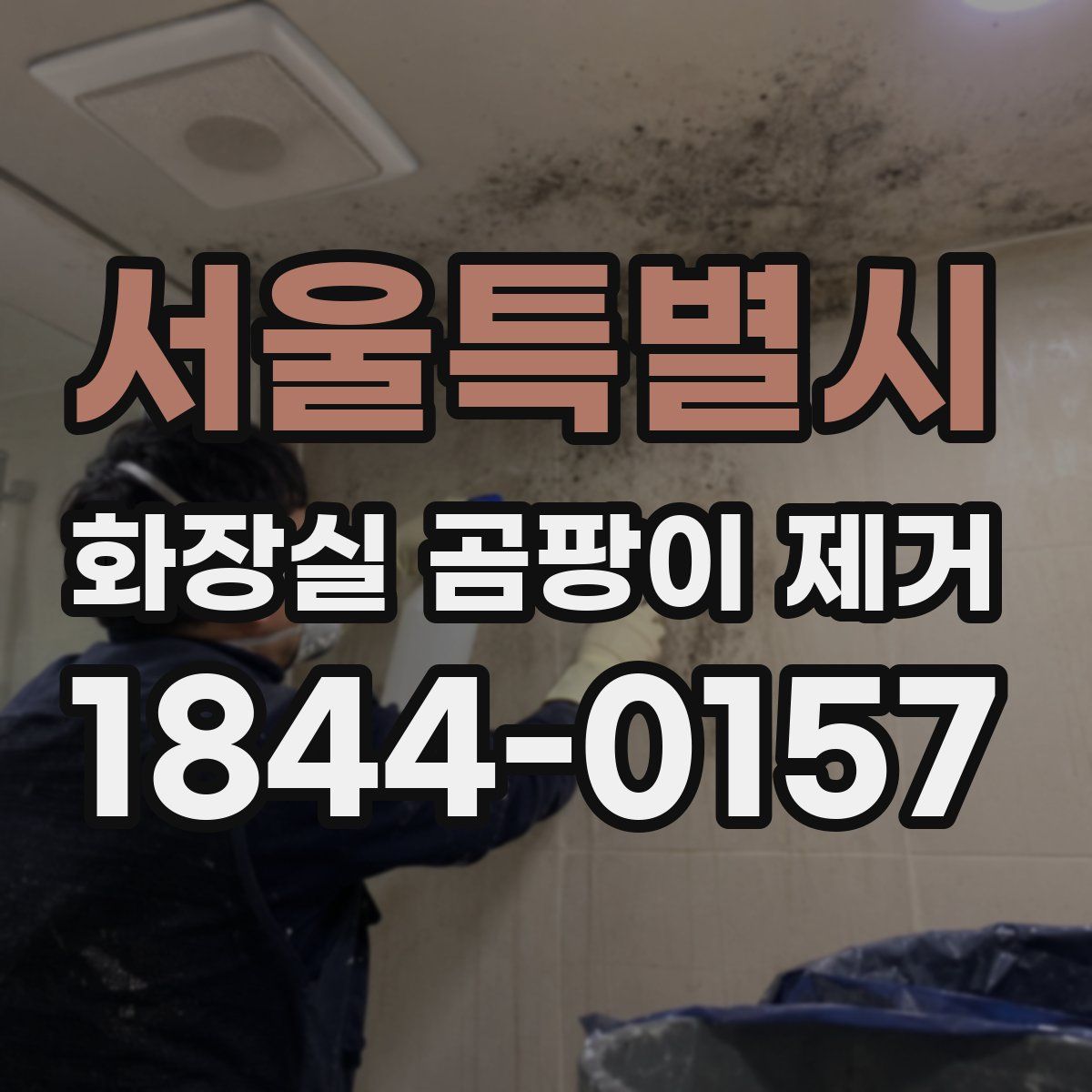 서울특별시 화장실 곰팡이 제거