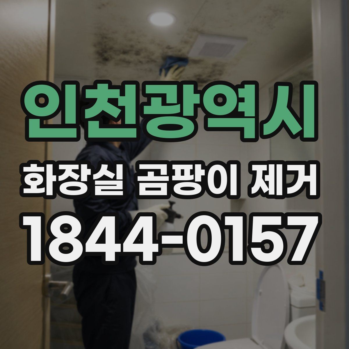 인천광역시 화장실 곰팡이 제거 재발을 줄이는 환기와 건조 습관