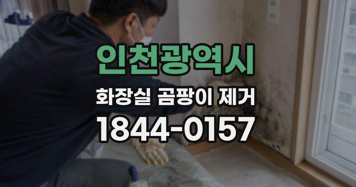인천광역시 화장실 곰팡이 제거