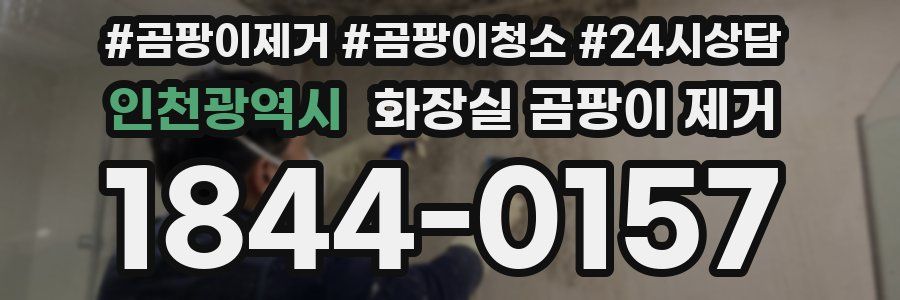 인천광역시 화장실 곰팡이 제거