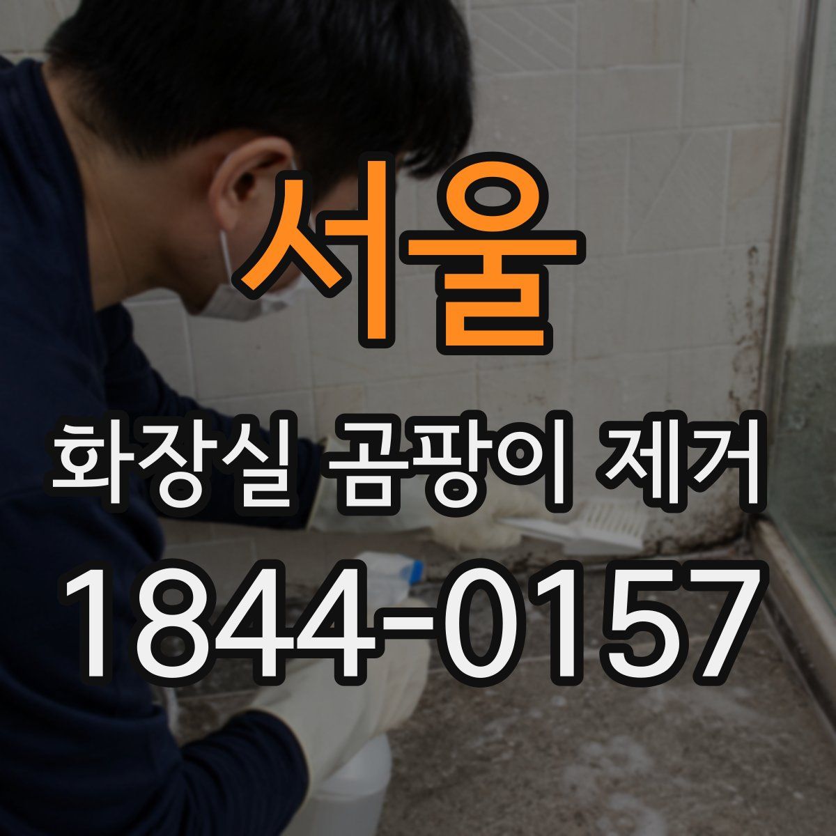 서울 화장실 곰팡이 제거