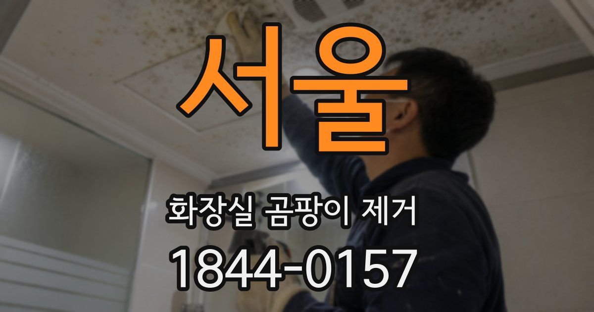 서울 화장실 곰팡이 제거