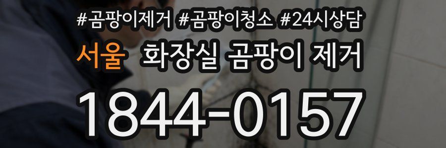 서울 화장실 곰팡이 제거