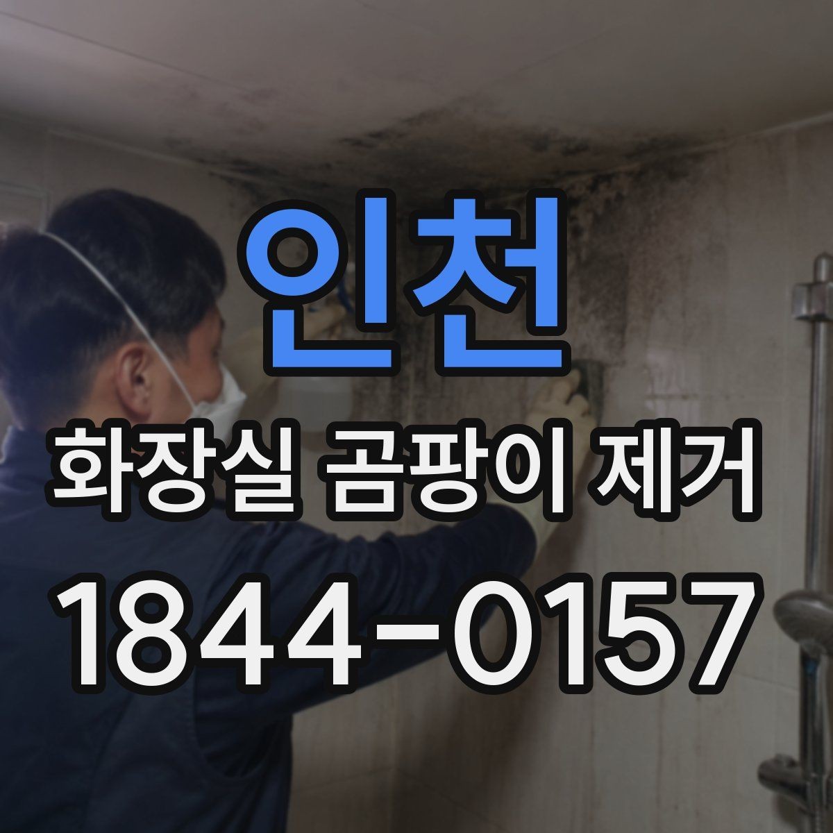 인천 화장실 곰팡이 제거 타일 틈 깊은 곰팡이까지 닦는 요령