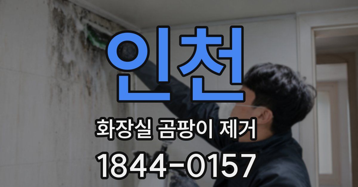 인천 화장실 곰팡이 제거