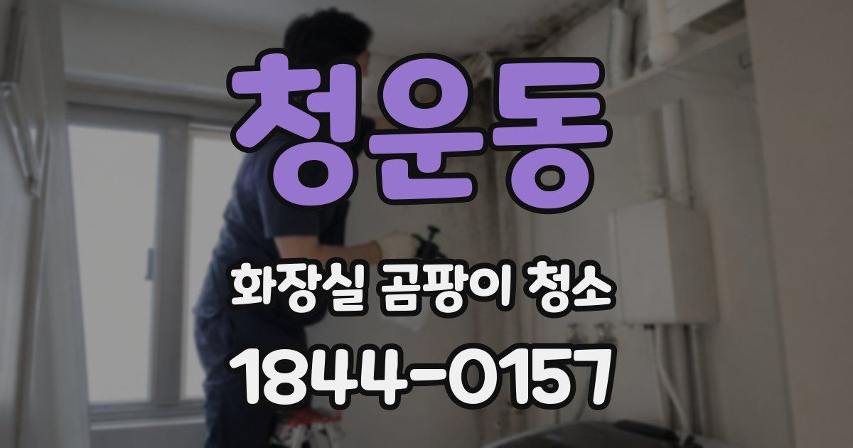 청운동 화장실 곰팡이 청소