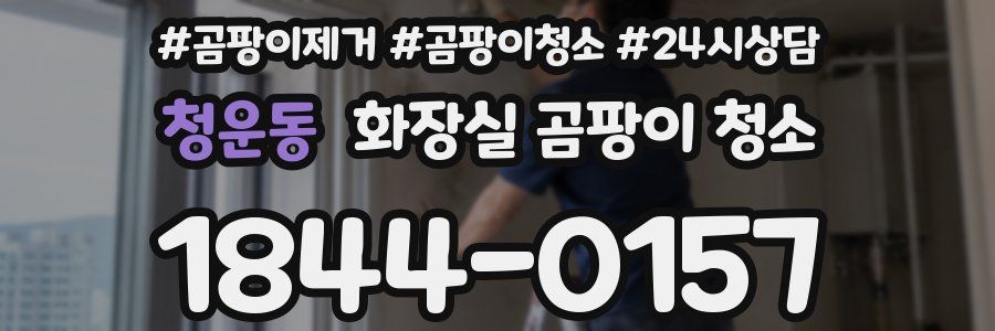청운동 화장실 곰팡이 청소