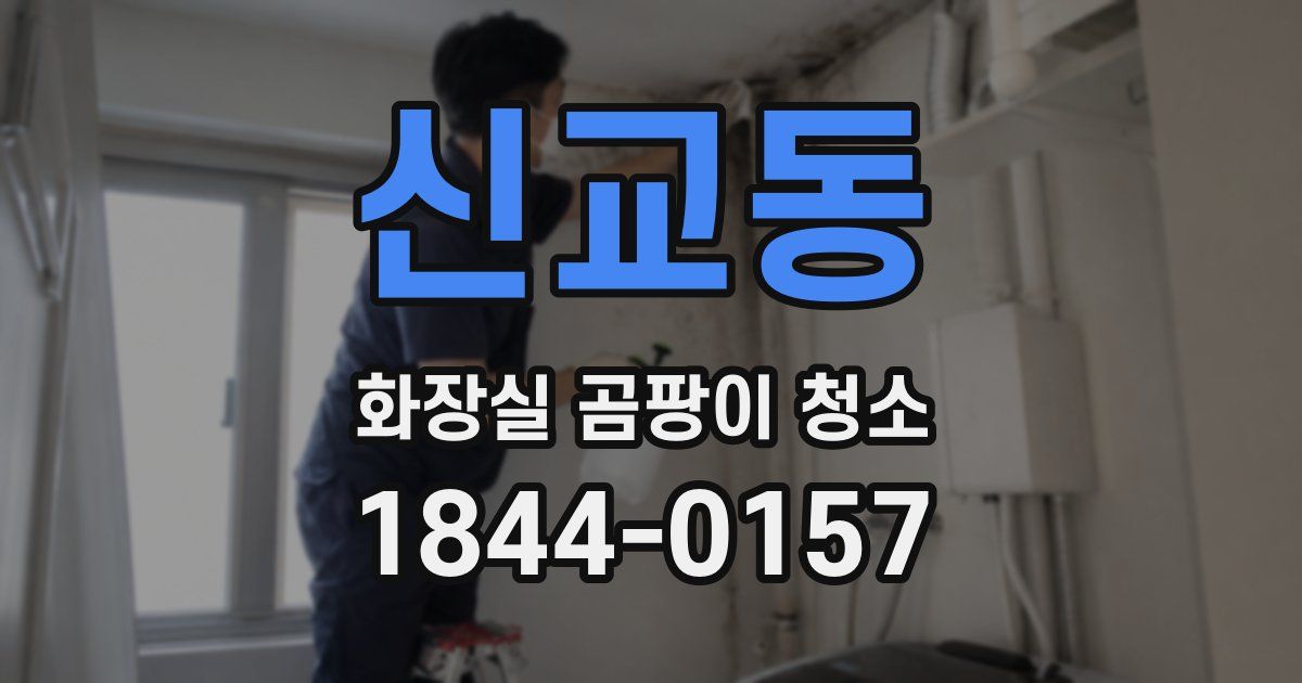 신교동 화장실 곰팡이 청소