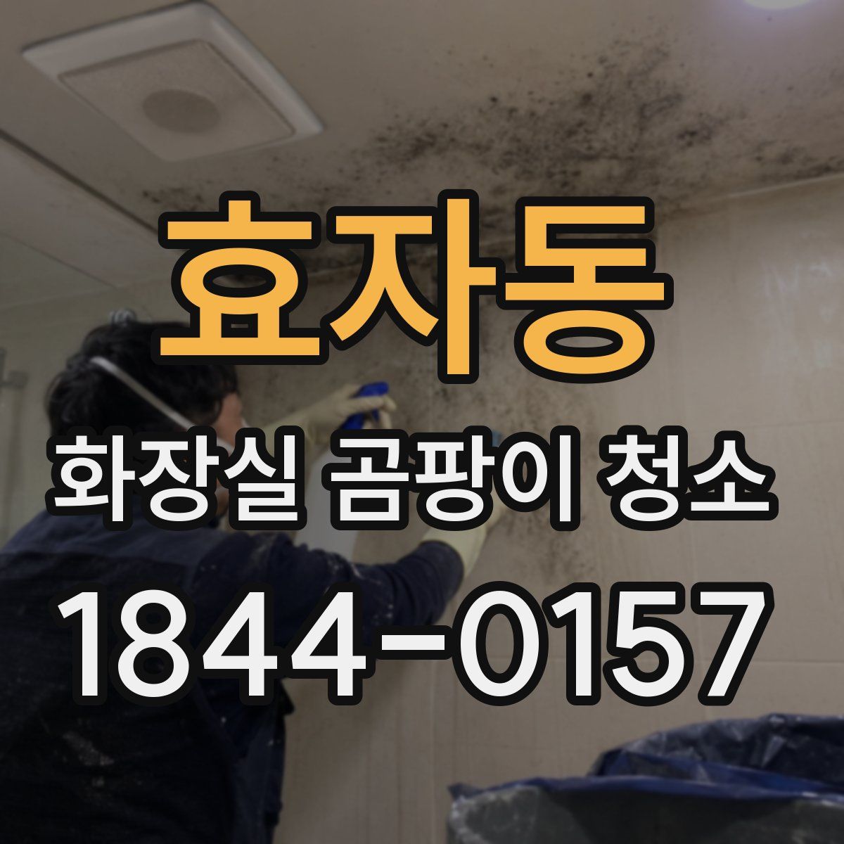 효자동 화장실 곰팡이 청소