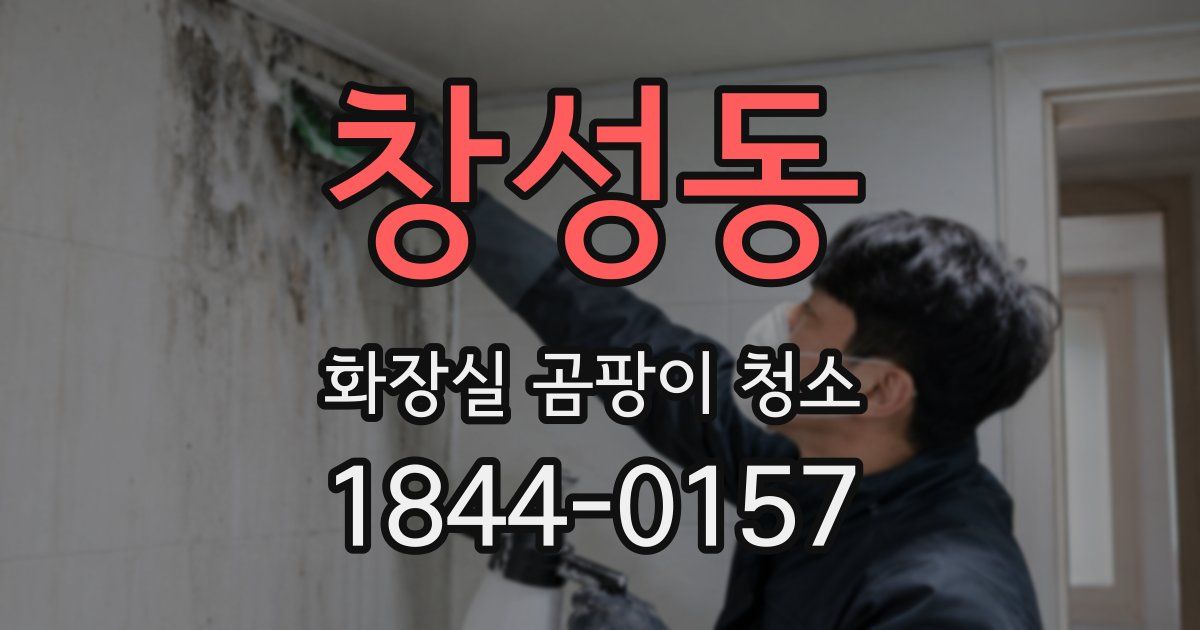 창성동 화장실 곰팡이 청소