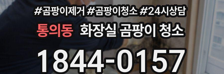 통의동 화장실 곰팡이 청소