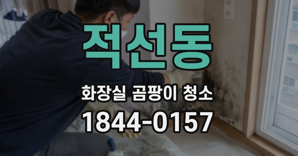 적선동 화장실 곰팡이 청소