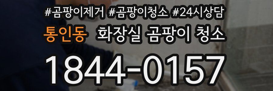 통인동 화장실 곰팡이 청소