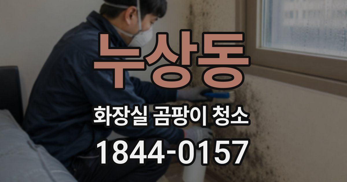 누상동 화장실 곰팡이 청소