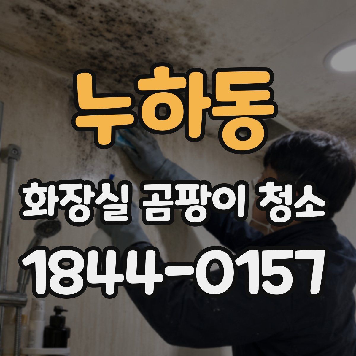 누하동 화장실 곰팡이 청소 천장 쪽 오염이 생길 때 확인할 부분