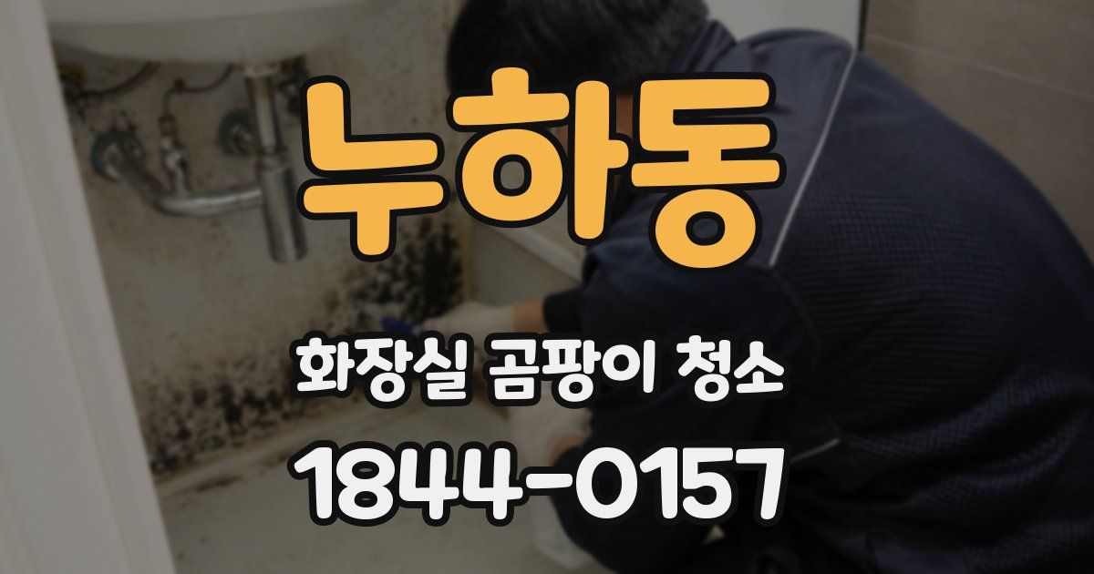 누하동 화장실 곰팡이 청소