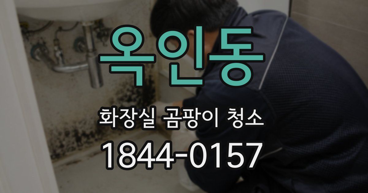 옥인동 화장실 곰팡이 청소