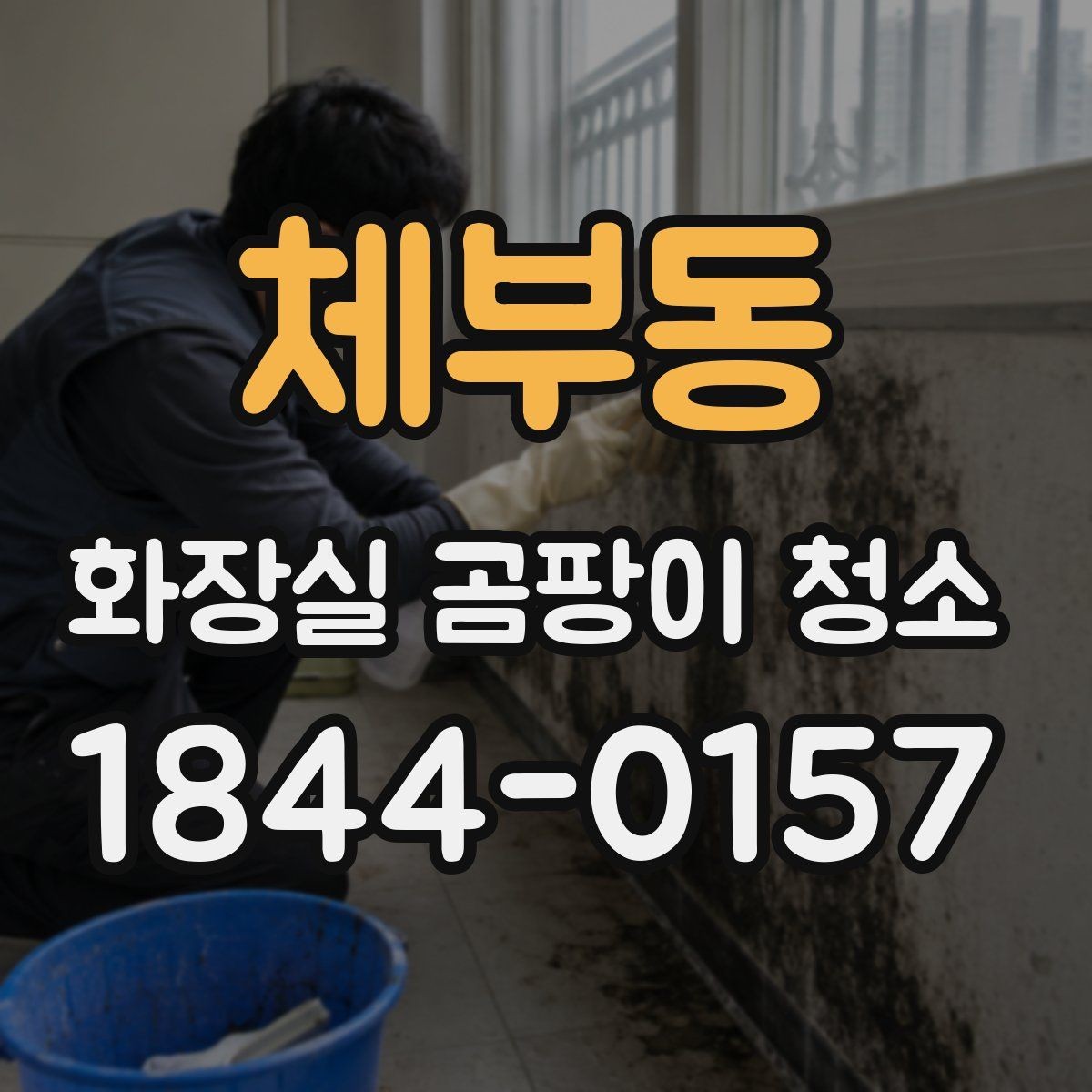 체부동 화장실 곰팡이 청소 후 잔여 냄새를 줄이는 실전 팁