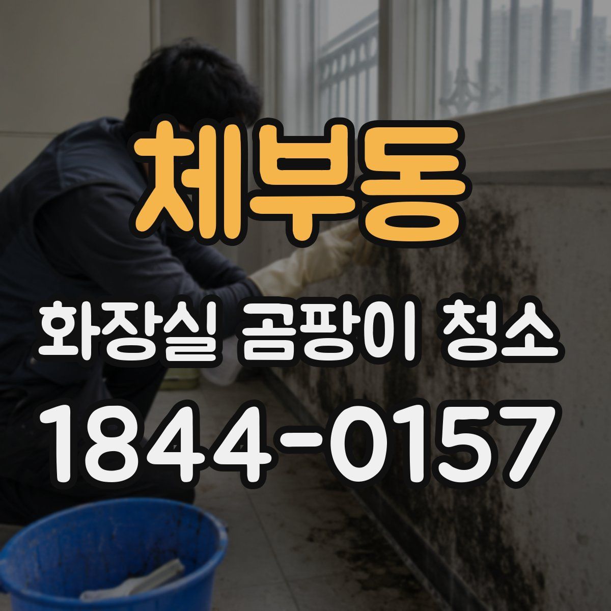 체부동 화장실 곰팡이 청소