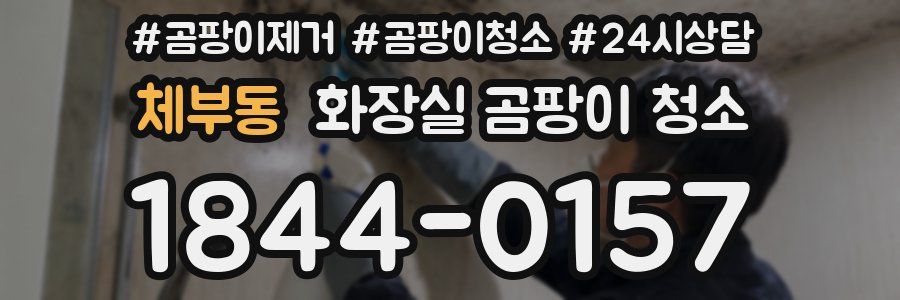 체부동 화장실 곰팡이 청소
