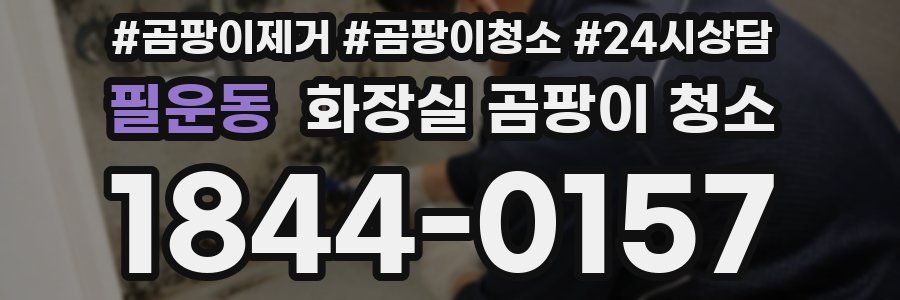 필운동 화장실 곰팡이 청소