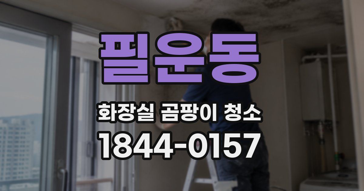 필운동 화장실 곰팡이 청소