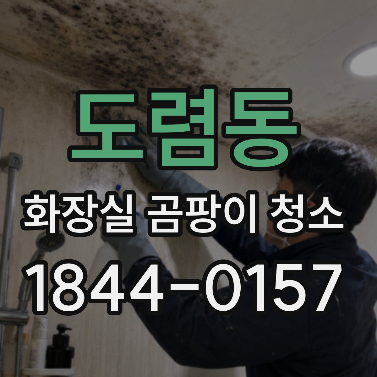 도렴동 화장실 곰팡이 청소