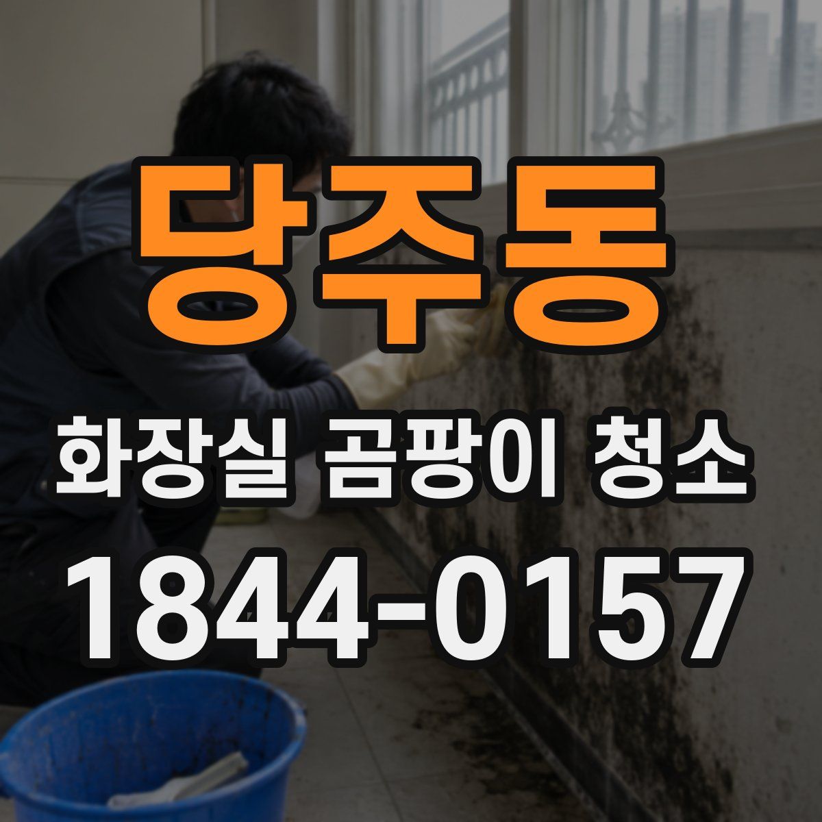 당주동 화장실 곰팡이 청소