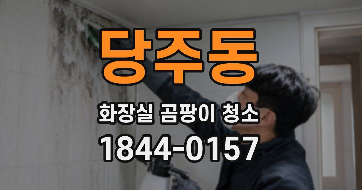 당주동 화장실 곰팡이 청소