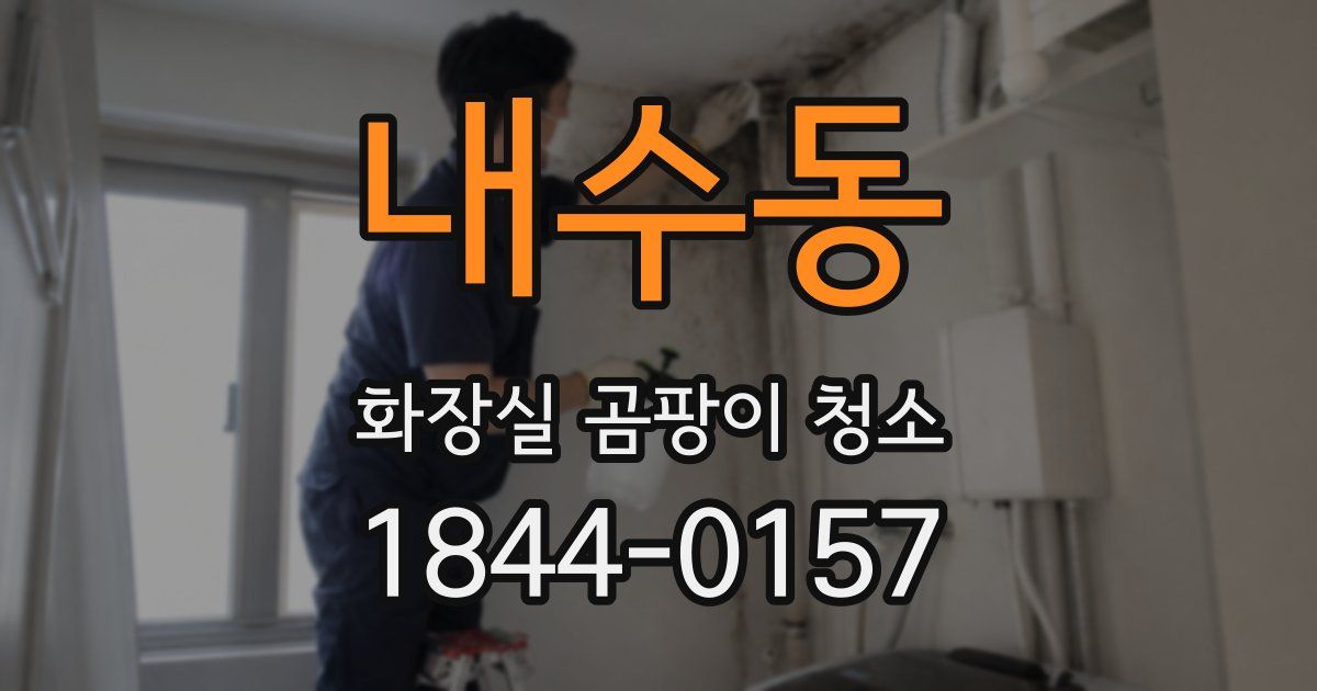 내수동 화장실 곰팡이 청소