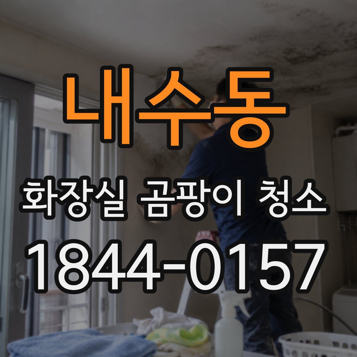 내수동 화장실 곰팡이 청소
