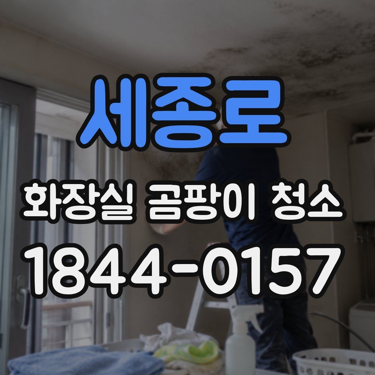 세종로 화장실 곰팡이 청소 뒤 다시 생기는 원인 살피기