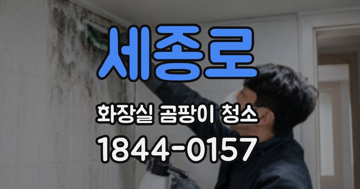 세종로 화장실 곰팡이 청소