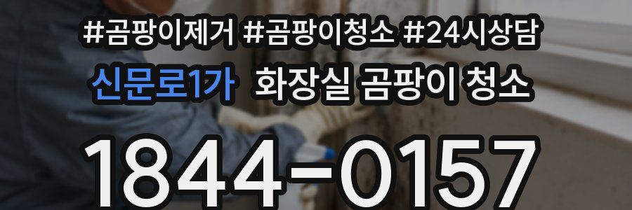 신문로1가 화장실 곰팡이 청소