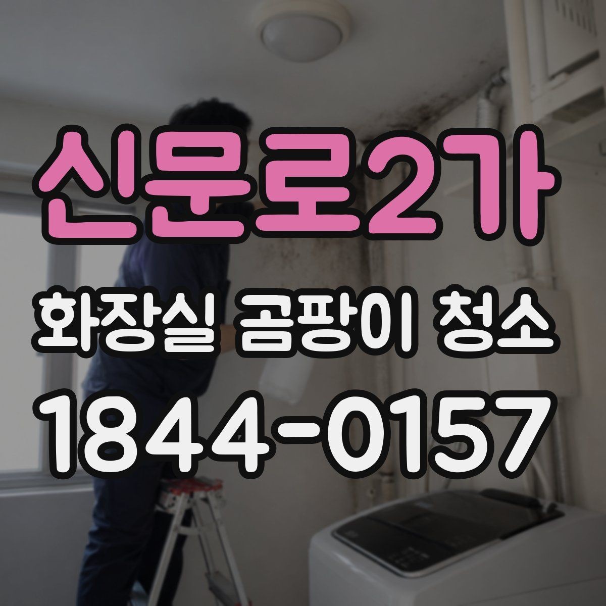 신문로2가 화장실 곰팡이 청소 반복 오염을 줄이는 점검 항목