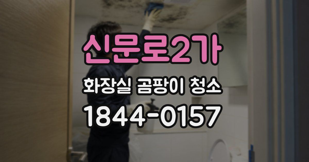 신문로2가 화장실 곰팡이 청소