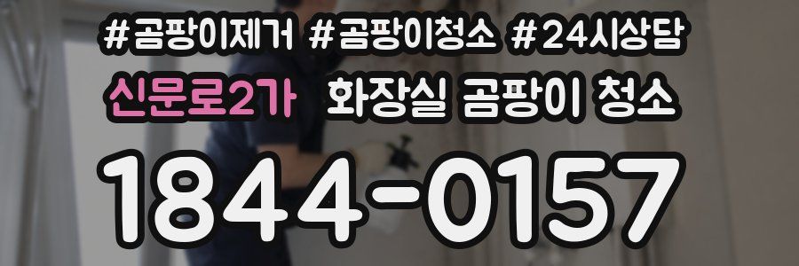 신문로2가 화장실 곰팡이 청소