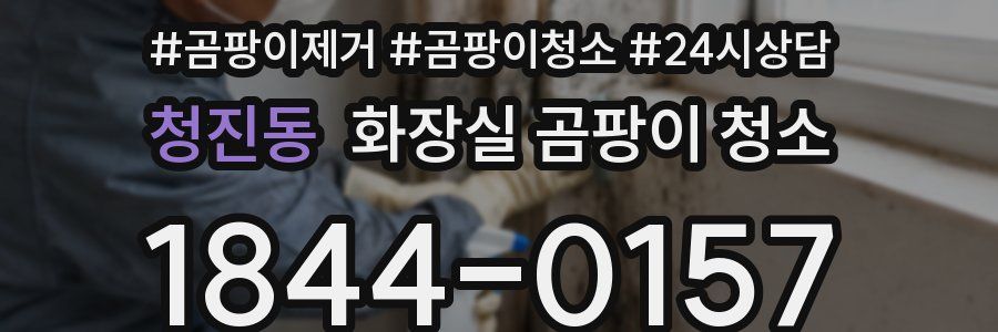 청진동 화장실 곰팡이 청소