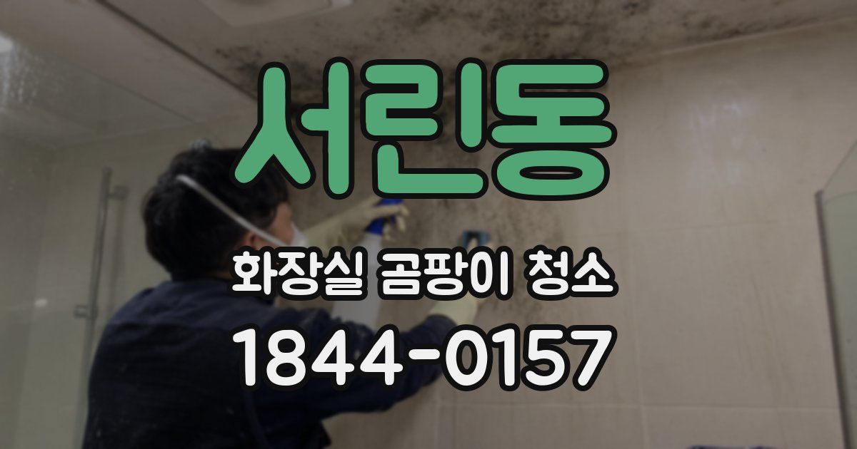 서린동 화장실 곰팡이 청소