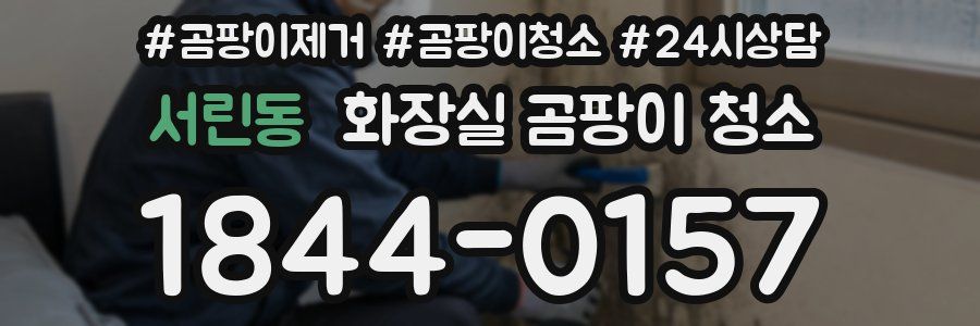 서린동 화장실 곰팡이 청소