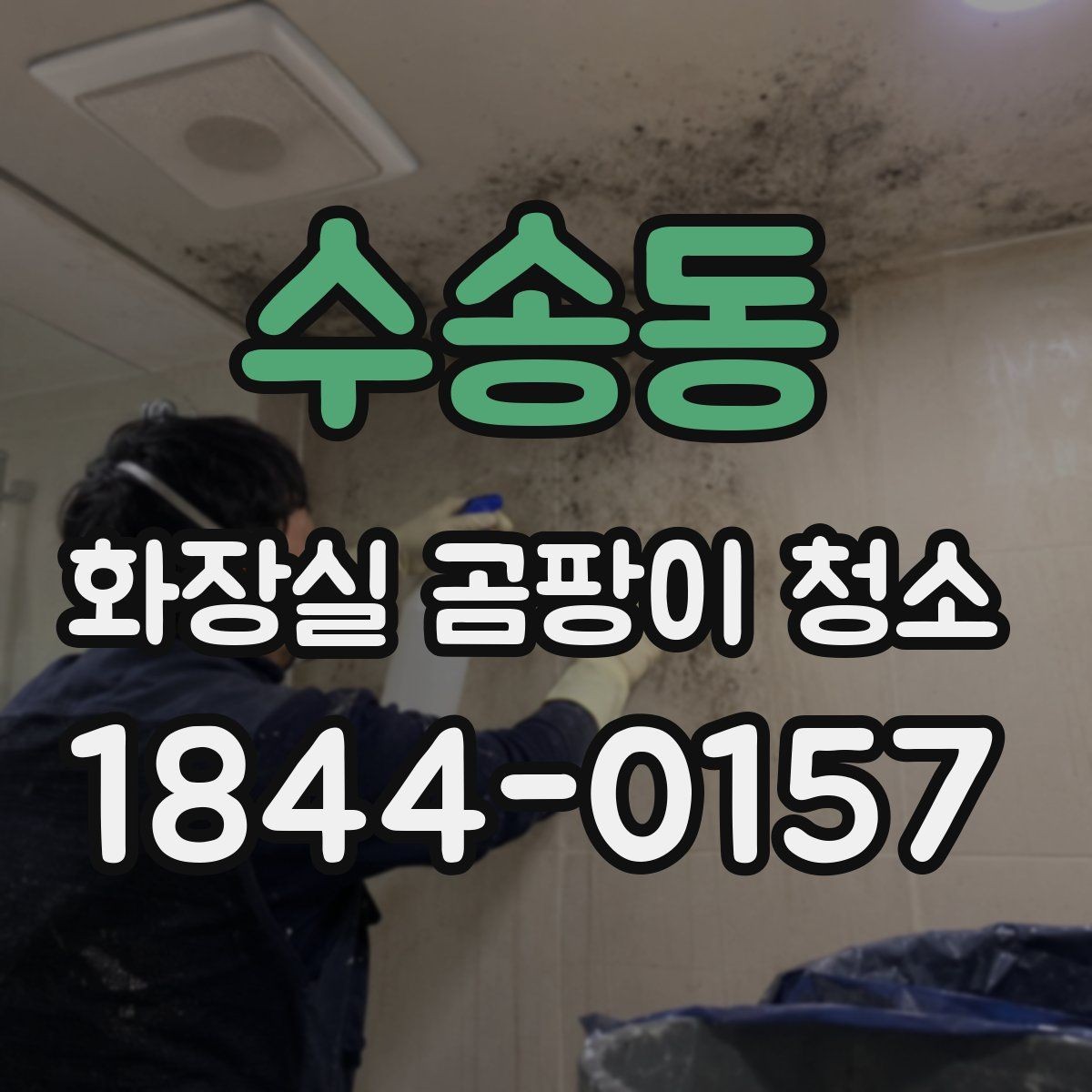 수송동 화장실 곰팡이 청소 욕실 물때 제거와 곰팡이 대응을 나누는 법