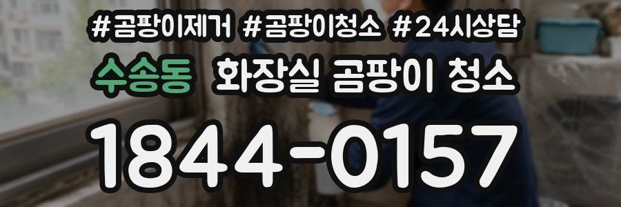 수송동 화장실 곰팡이 청소